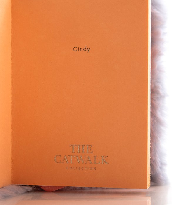 Piezīmju grāmata Cindy, pelēka, Catwalk collection