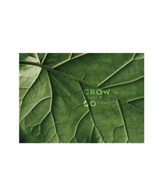 Kartīte Moments of Life, Grow, Aiga Rēdmane