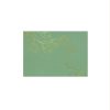 Aploksne Magnolia, Matcha