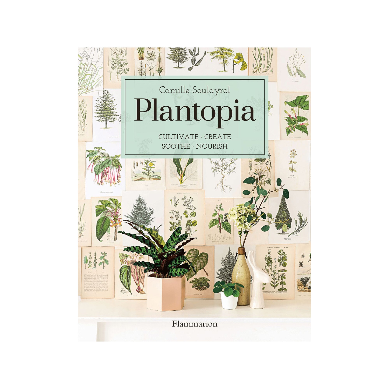 Grāmata Plantopia