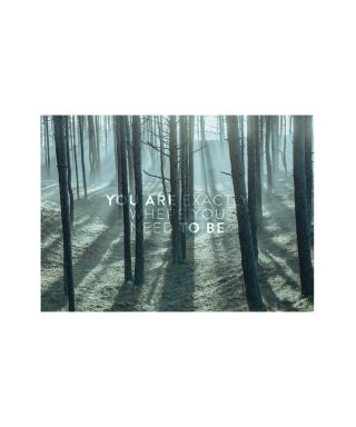 Kartīte Moments of Life, You are, Aiga Rēdmane