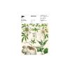 1-botanic-letter