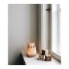 Winston_Night_Light-Lighting-LW12724-0022_Cat_rose-2