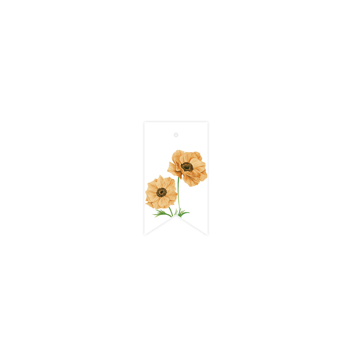ETIKETE-ANEMONE,-AUTUMN-TALE