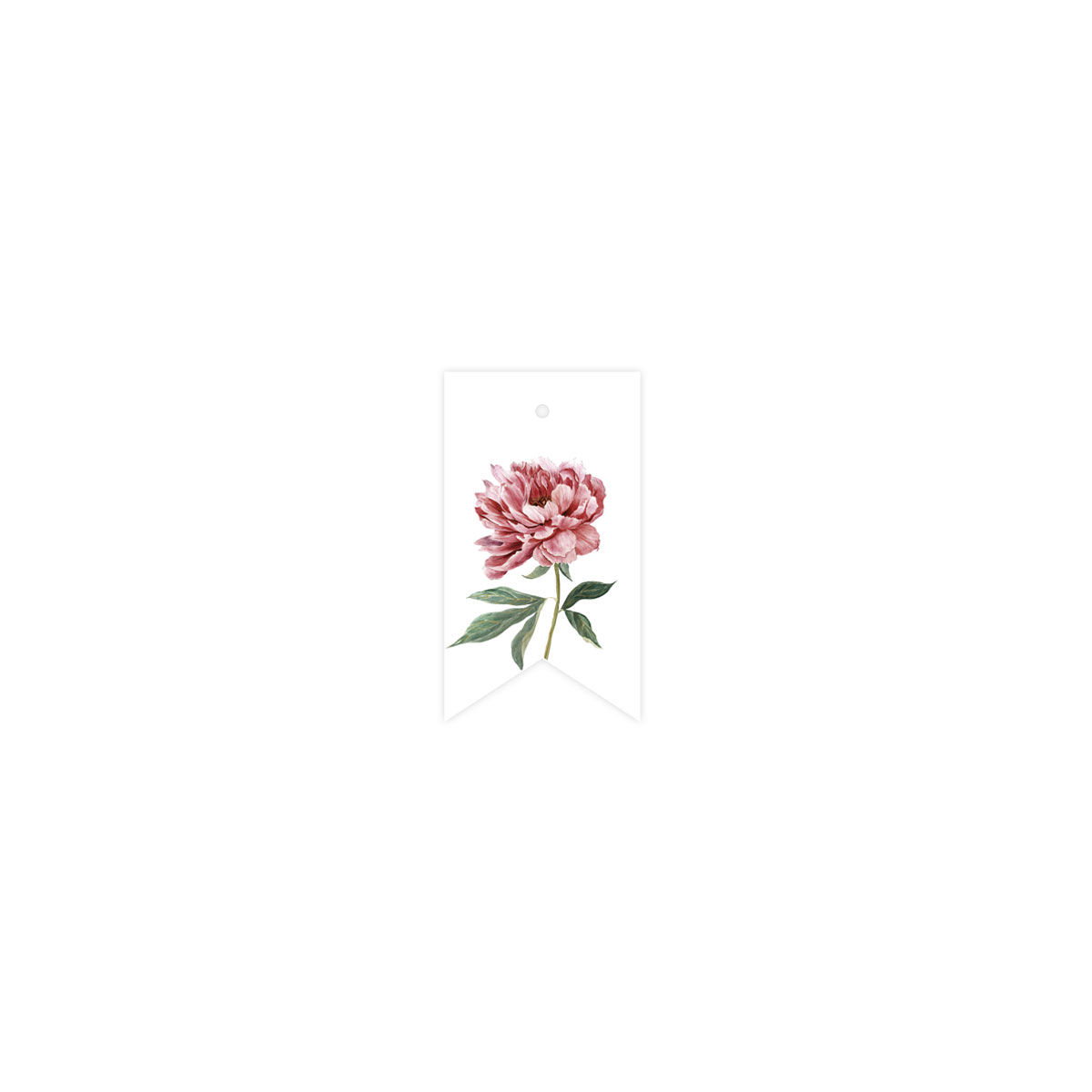 ETIKETE-PEONY,-AUTUMN-TALE