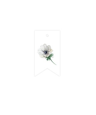Etiķete White Anemone, White Winter Bloom