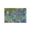 micropuzzle-iris