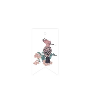 Etiķete Hoopoe, Enchanted forest, Manilla