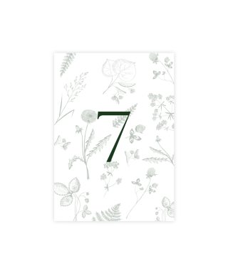 Kartīte 7, Midsummer Meadow