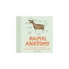 gramata-animal-anatomy-izzinas-literatura-manilla