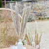 pam-531_-_natural_pampas_grass_stems-min