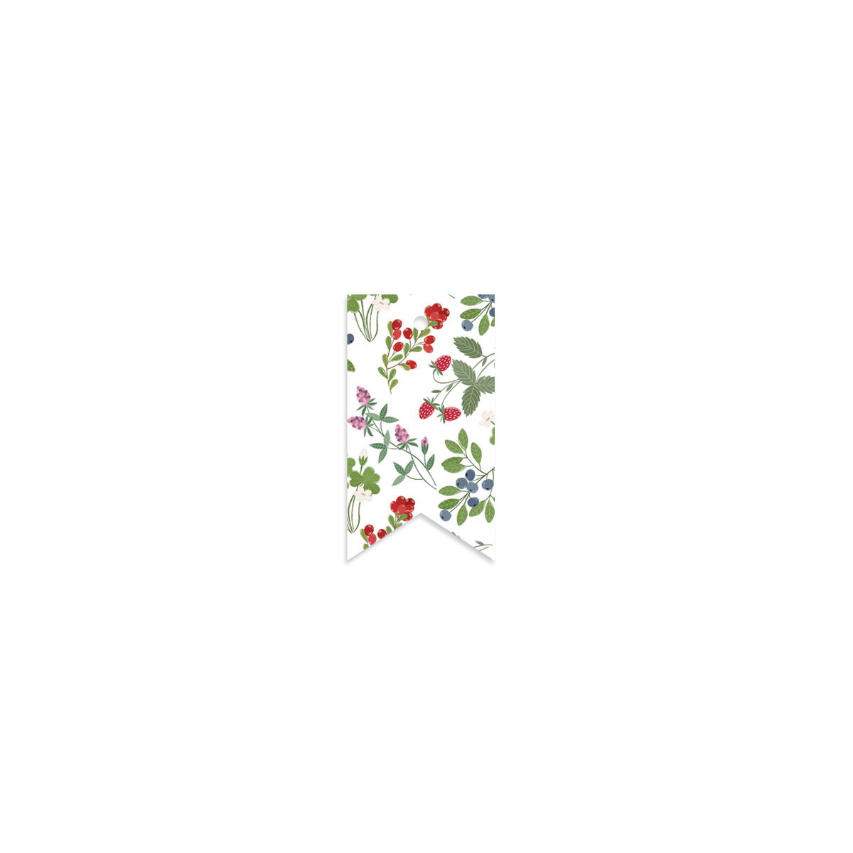 ETIKETE-BERRIES,-WOODLAND-FRIENDS,-MANILLA-X-LIENE-VILMANE