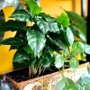 IMG-20200905-WA0012-600x800