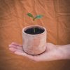 plantplant8-1-of-1-819x1024