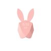pulkstenis-rabbit-smart