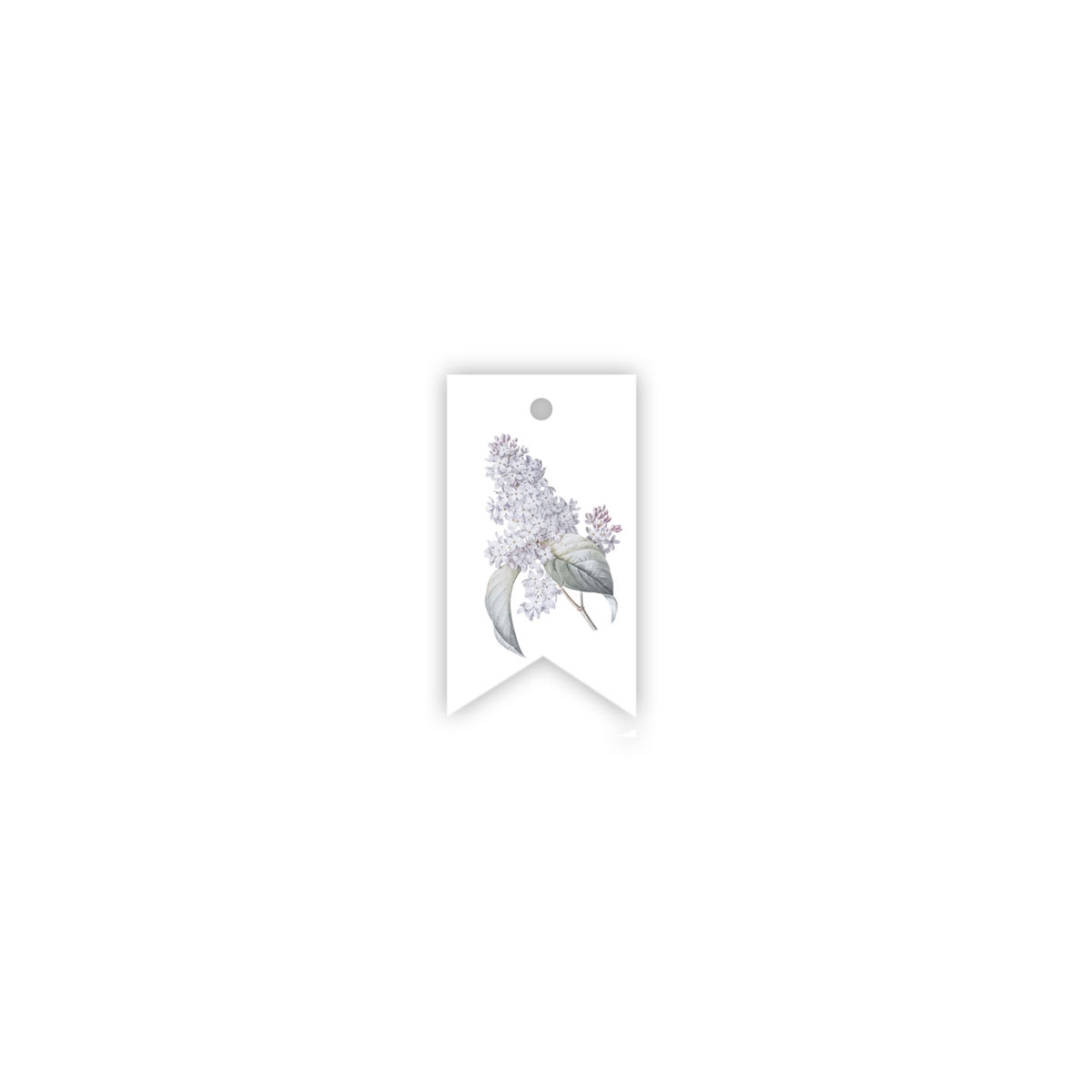 ETIKETE-BLOOM,-LILAC,-MANILLA