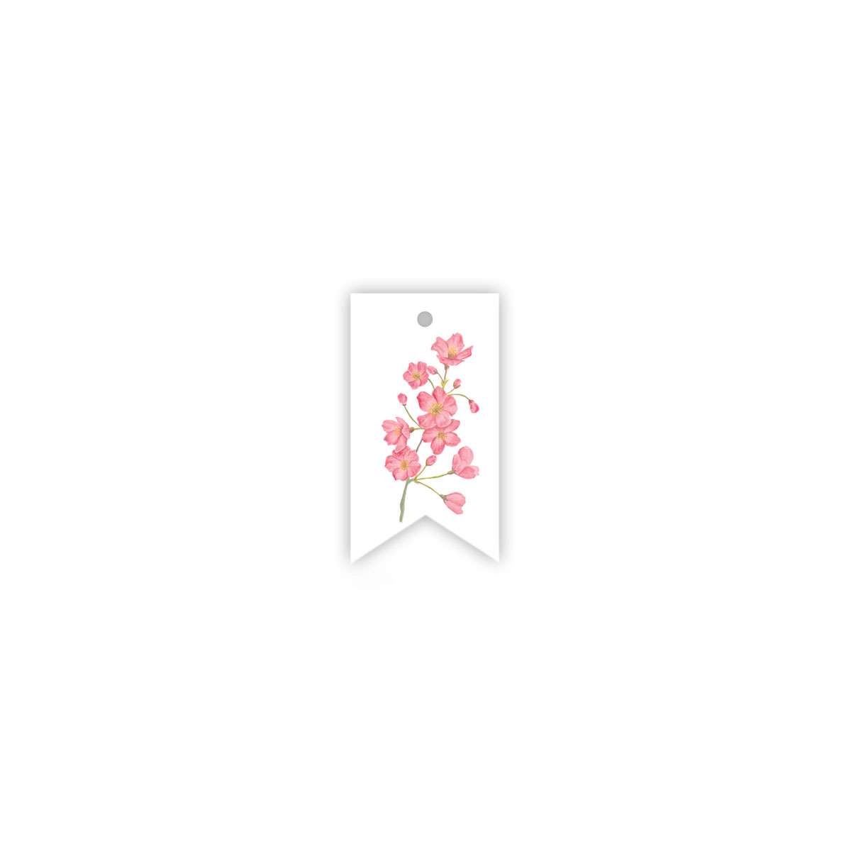 ETIKETE-BLOSSOM-SAKURA,-MANILLA