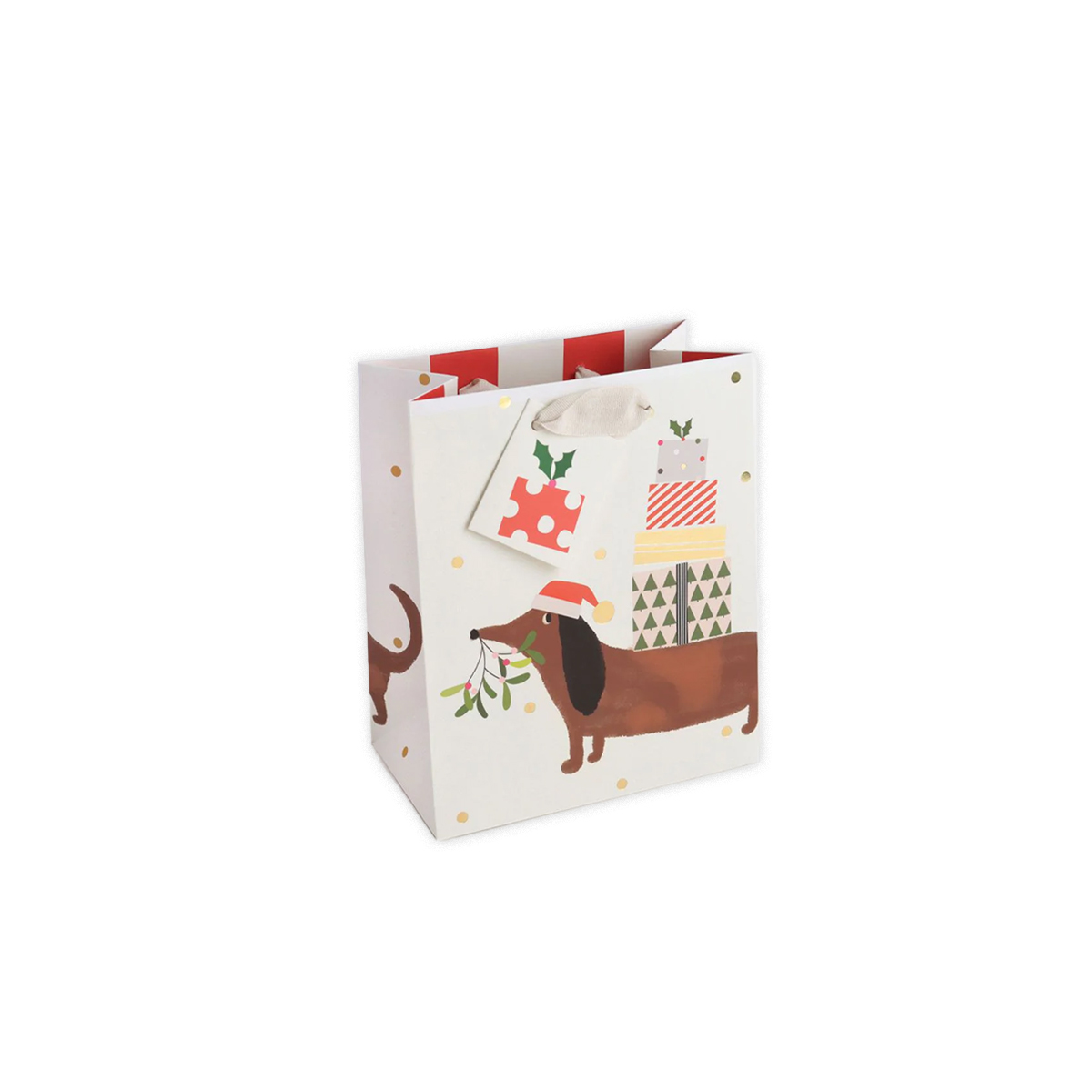 Davanu-maisins-Christmas-Sausage-Dog-&-Presents,-videjs