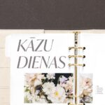 manilla-bannte-kazu-planotaajs-7