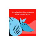 2_Karsu-komplekts-Animal-Power-Deck