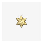 2_Piespraude-Snow-Flake,-All-the-ways-to-say