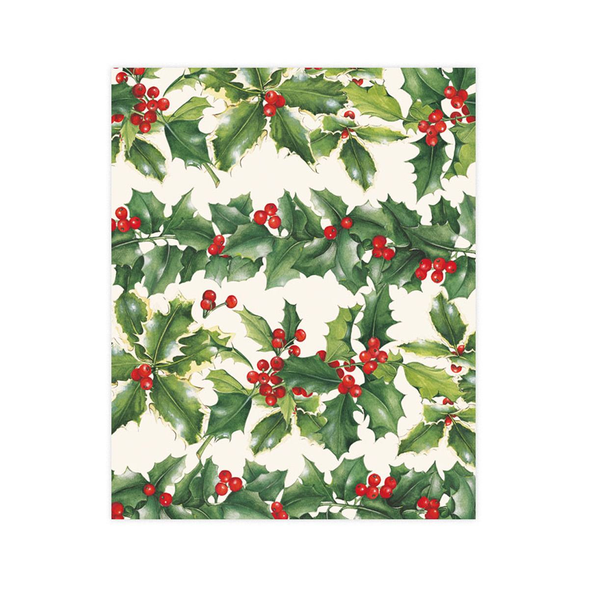 Davanu-iesainojamais-papirs-HOLLY,-loksne