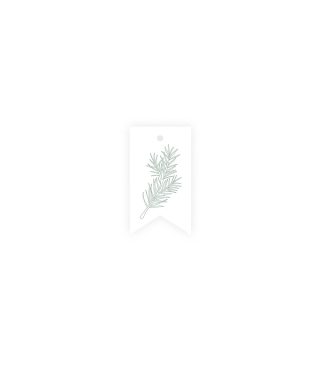 Etiķete Spruce, Foliage, Manilla