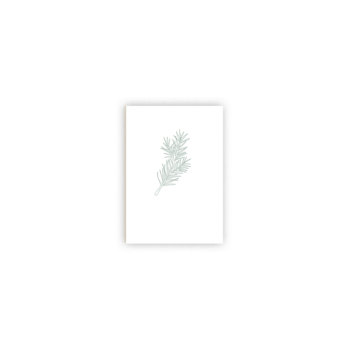 Kartite-Spruce,-White-&-Green,-Cosy-Winter,-Manilla