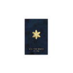 Piespraude-Snow-Flake,-All-the-ways-to-say