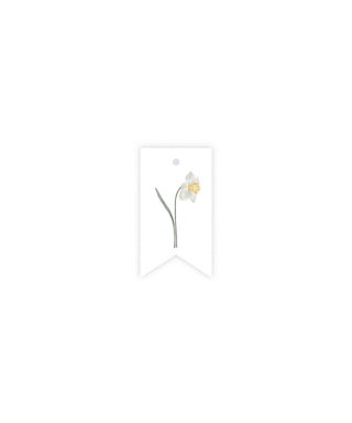 Gift tag Daffodil, Scent of Spring, Manilla