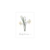 Kartite-Flowers,-Daudz-laimes,-Scent-of-Spring,-Manilla