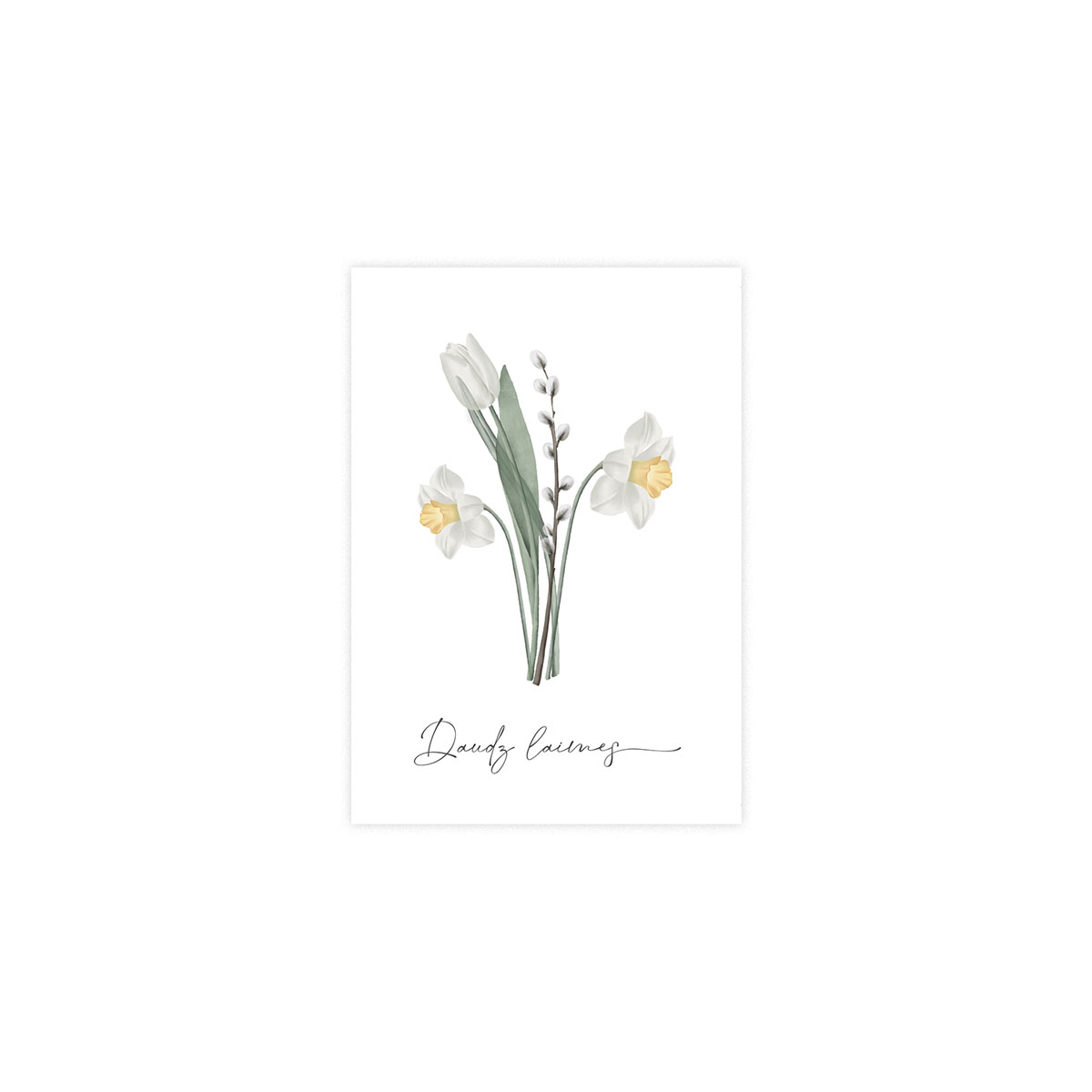 Kartite-Flowers,-Daudz-laimes,-Scent-of-Spring,-Manilla