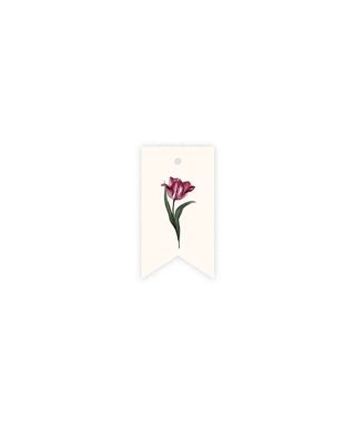 Etiķete Tulip, Blooming Marvellous, Manilla