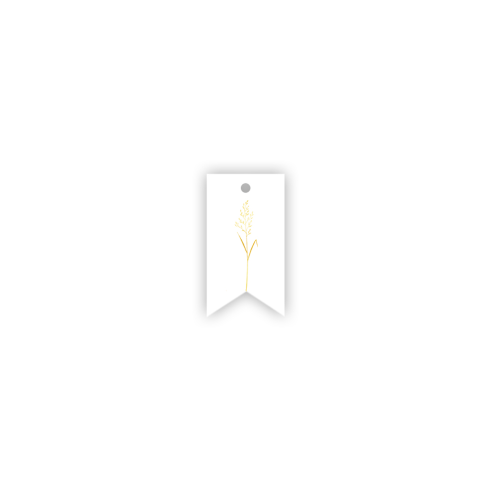 etikete-wildgrass-snow-white-manilla-web