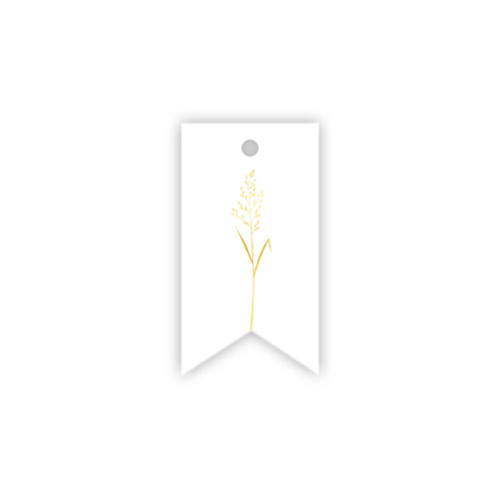 etikete-wildgrass-snow-white-manilla