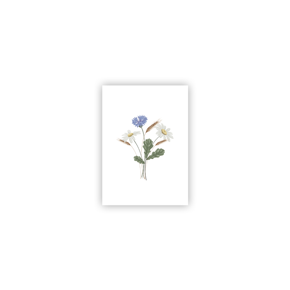 kartite-latvian-roots-vienpuseja-flopwers