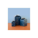 2_Davanu-kaste-Blue,-Gold-stars,-small,-saliekama