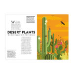 5_Gramata-The-Plant-Life