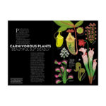 6_Gramata-The-Plant-Life