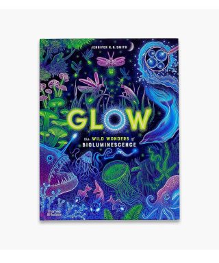 Grāmata Glow: The Wild Wonders of Bioluminescence