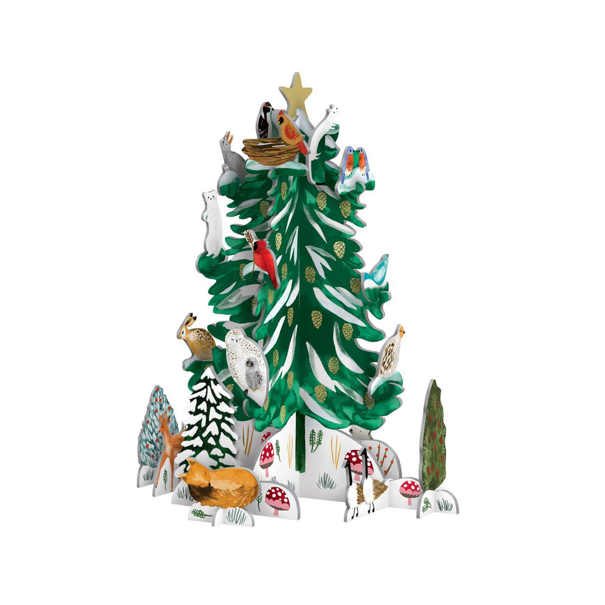 Adventes-kalendars-Christmas-Conifer,-Pop-&-Slot