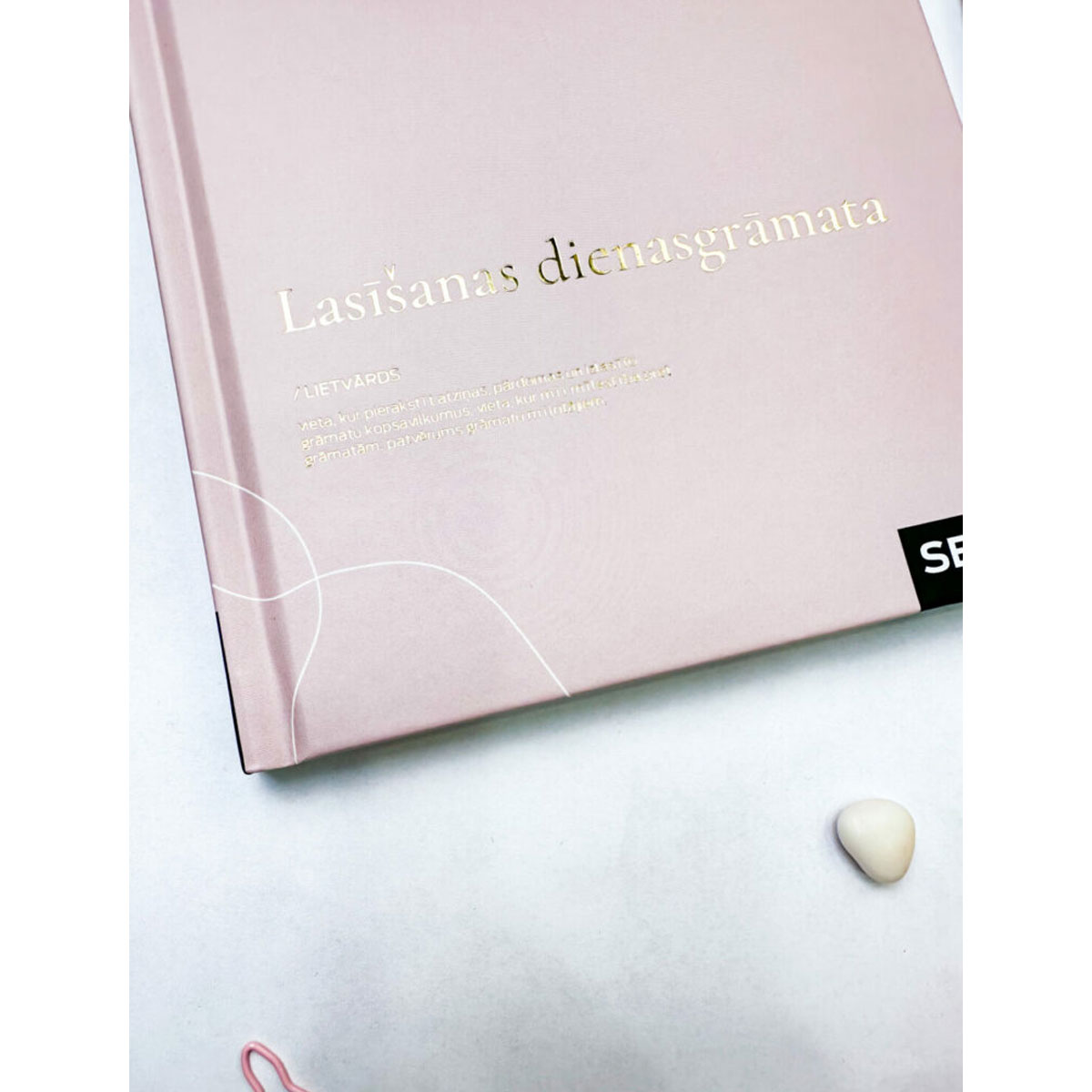 3_Lasisanas-dienasgramata
