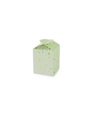 Dāvanu kaste Pistachio, Gold stars, medium, saliekama