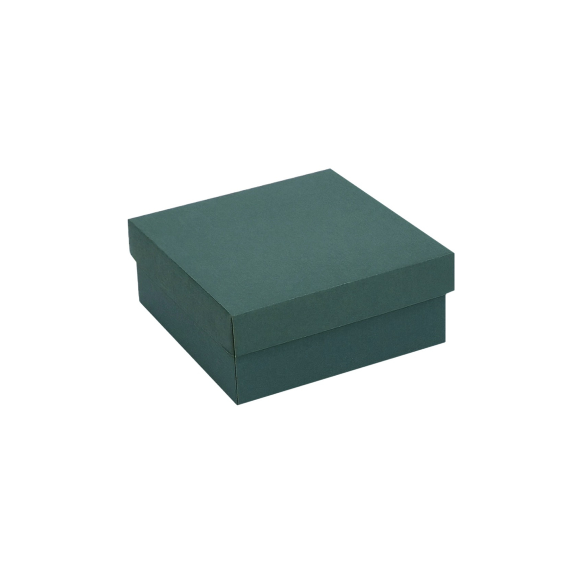 kartona-davanu-kaste-zala-25x25