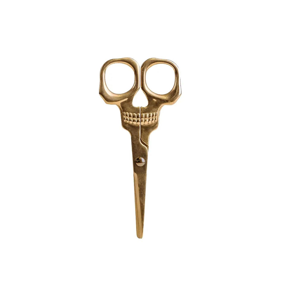 Nerusejosa-terauda-skeres-Skull