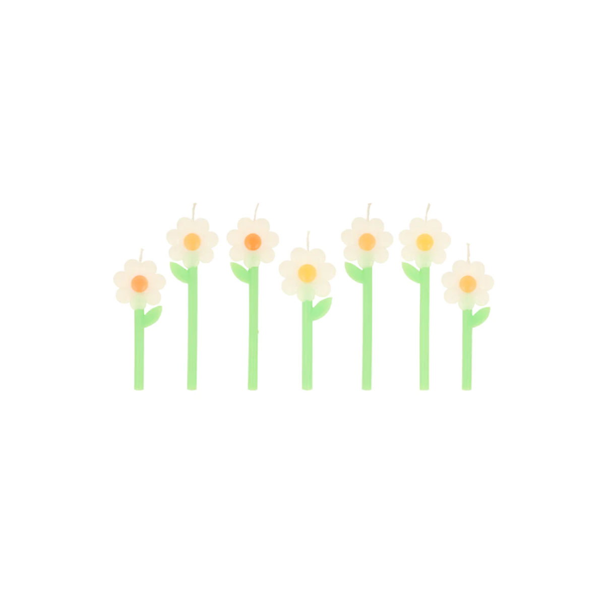 Sveces-kukai-Daisy,-6-gab.,-Meri-Meri