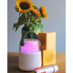 2_Karaoke---skalrunis-Enceinte,-Grey
