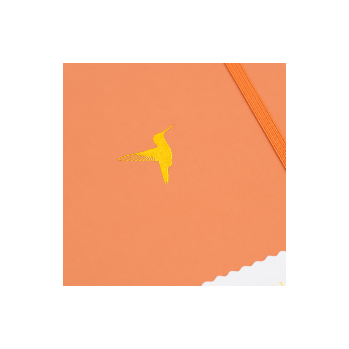 2_Piezimju-gramata-Hummingbird,-Burnt-Orange,-dotted