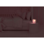 3_Pulkstenis-Billy-Clock,-Pink