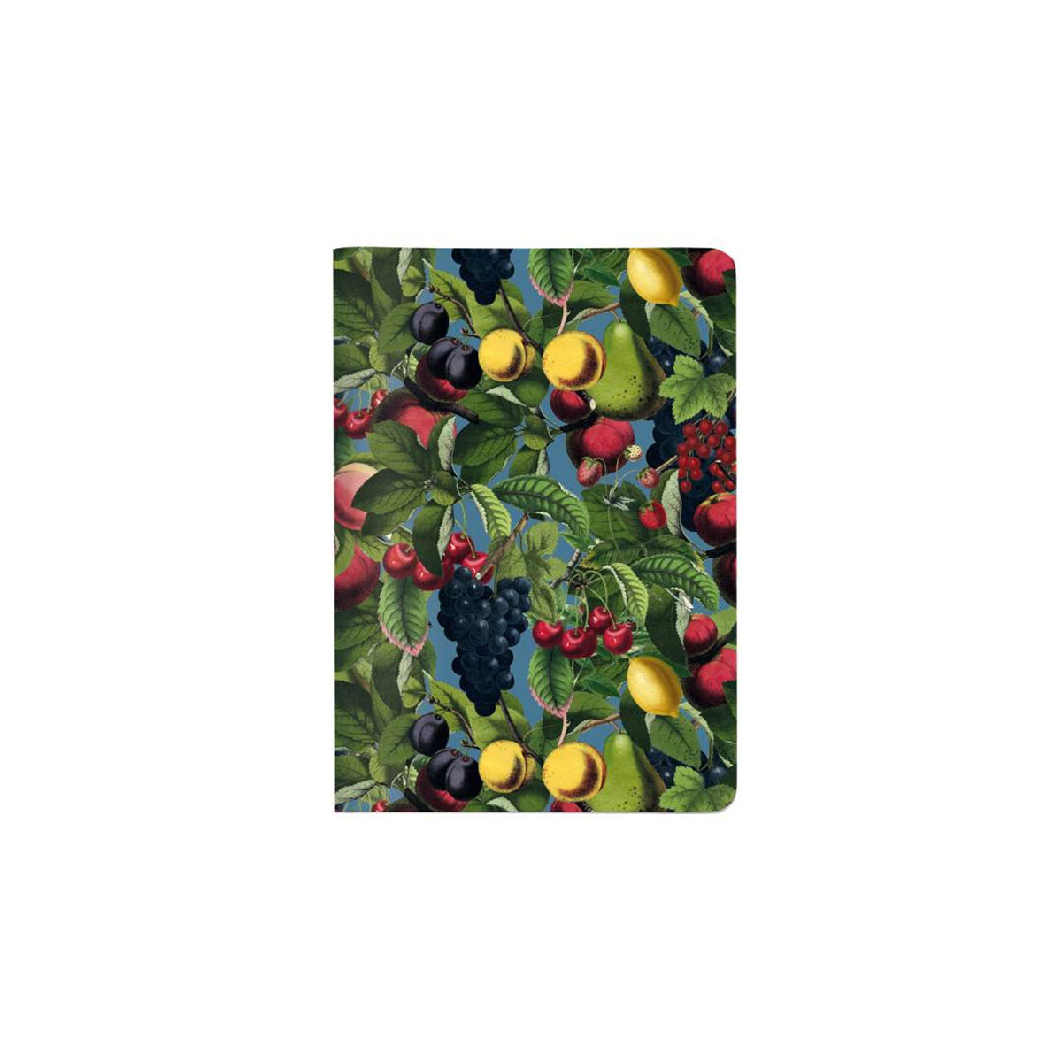 Piezimju-burtnica-Fruit,-A6,-rutinu